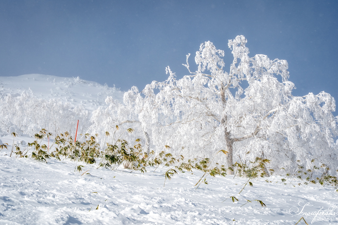 星野リゾート　トマム｜滑走後、時には夕方までまったりと。。。ちょっと贅沢な時間を過ごしてみてはいかがでしょう？新イベント『つきのdeアプレスキー』開催中！